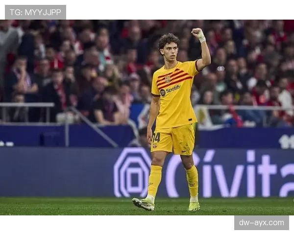 西甲冠军成员：菲利克斯的团队成就